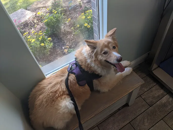North River Animal Hospital Picture 7