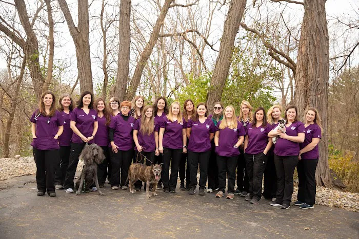 North River Animal Hospital Picture 5