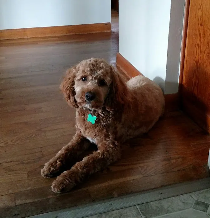 North River Animal Hospital Picture 8