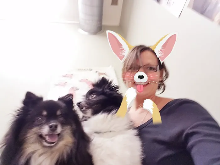 Animal Hospital of Lakeport Picture 10