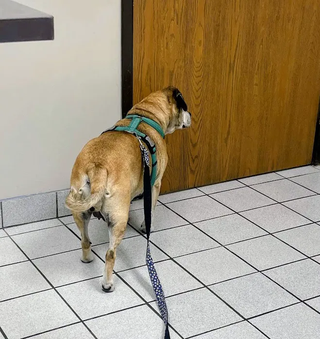 Yale Veterinary Hospital Picture 5