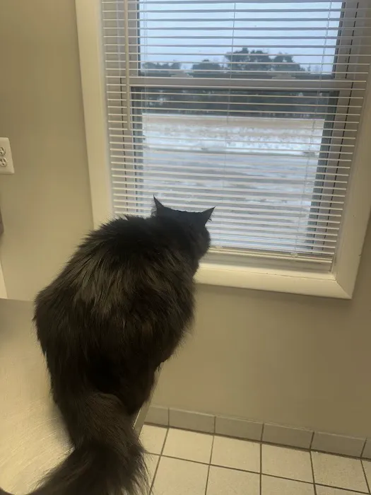 Yale Veterinary Hospital Picture 10