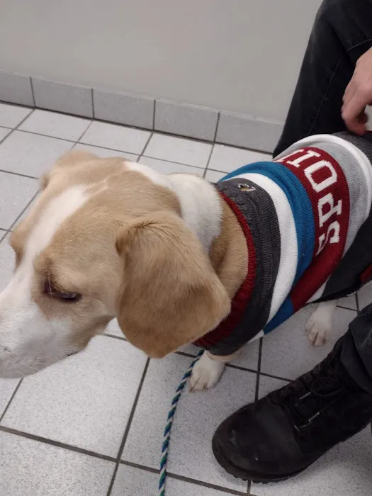 Yale Veterinary Hospital Picture 7