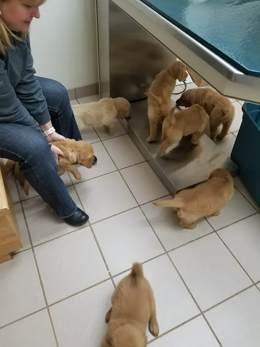 Pytel Veterinary Clinic Picture 7