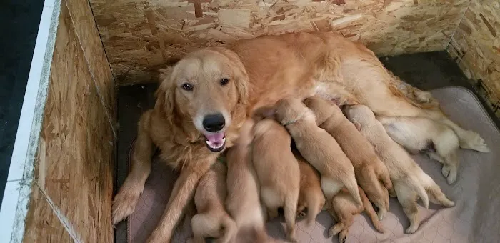 Pytel Veterinary Clinic Picture 10