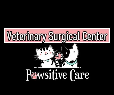Pawsitive Care Veterinary Surgical Center