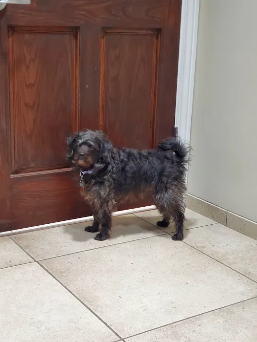 Towne & Country Animal Hospital Hartland Picture 7