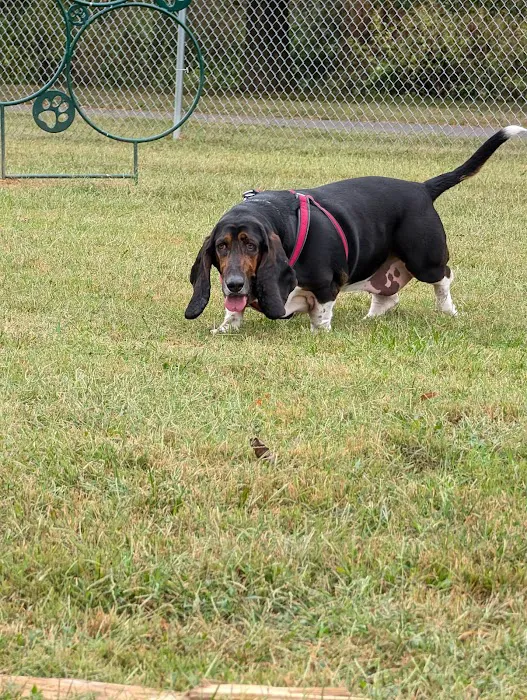 Cascade Veterinary Hospital Picture 7