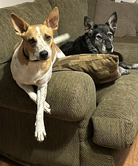 Northpoint Animal Hospital Picture 4