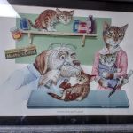 Shelbyville Animal Hospital