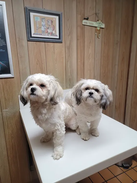 Shelbyville Animal Hospital Picture 4