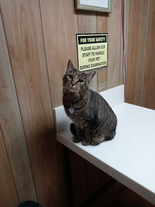 Shelbyville Animal Hospital Picture 5