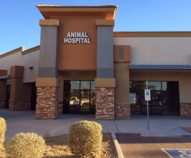 Desert Sky Animal Hospital Picture 3