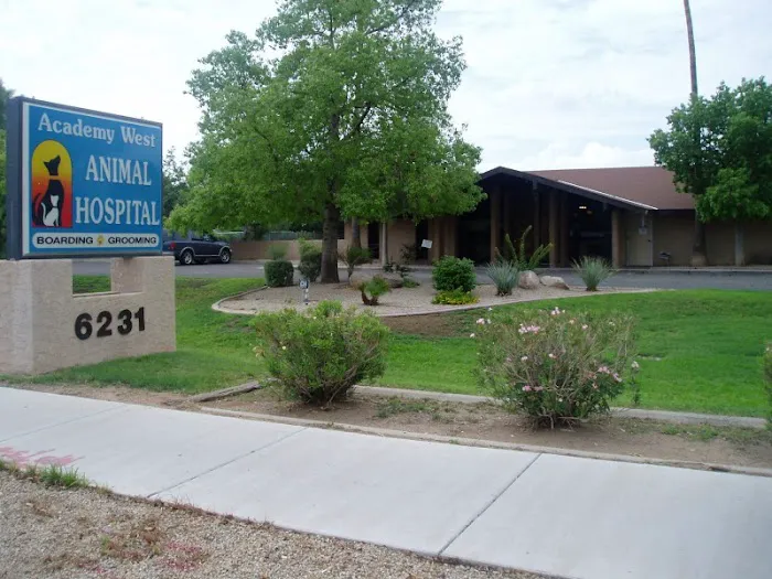 Academy West Animal Hospital Picture 8