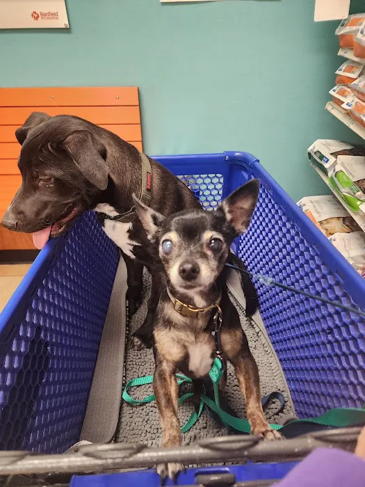 Banfield Pet Hospital Picture 10