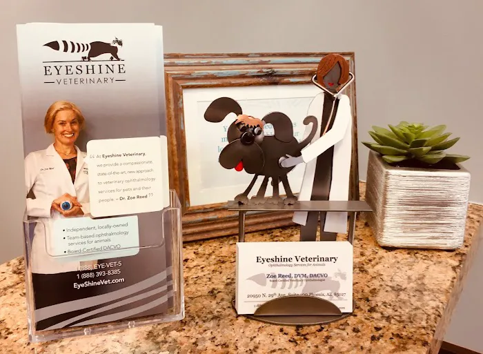 Eyeshine Veterinary Picture 8