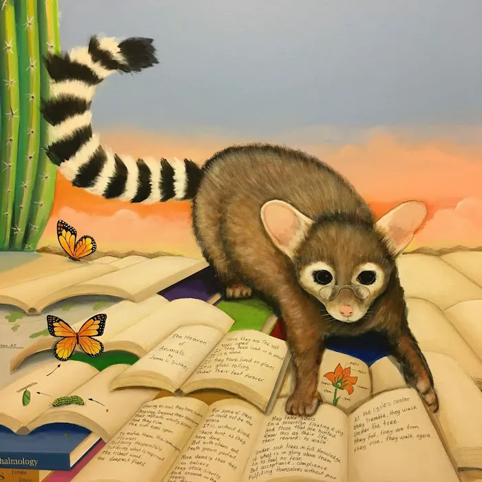 Eyeshine Veterinary Picture 6