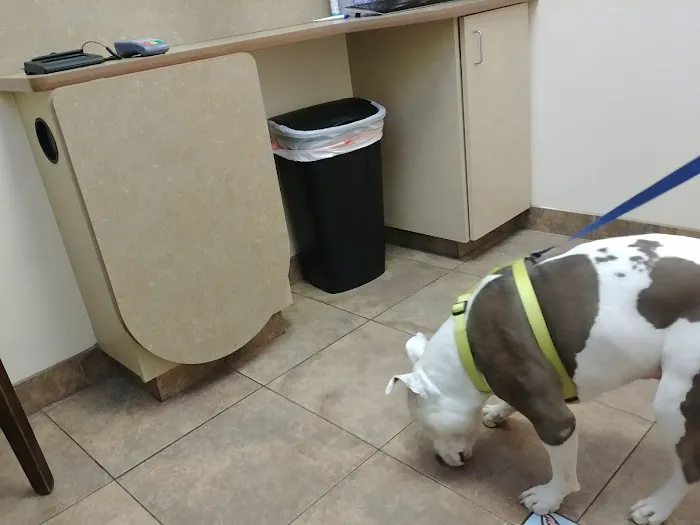 Lovet Pet Health Care - Westbrook Picture 4