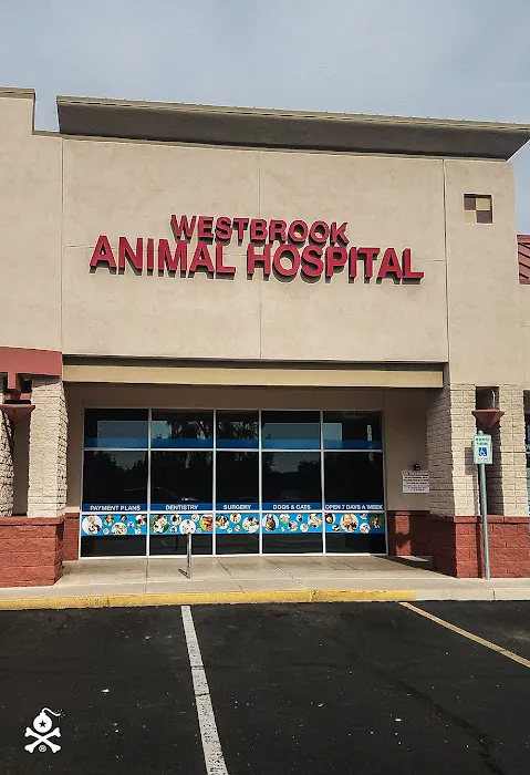 Lovet Pet Health Care - Westbrook Picture 8