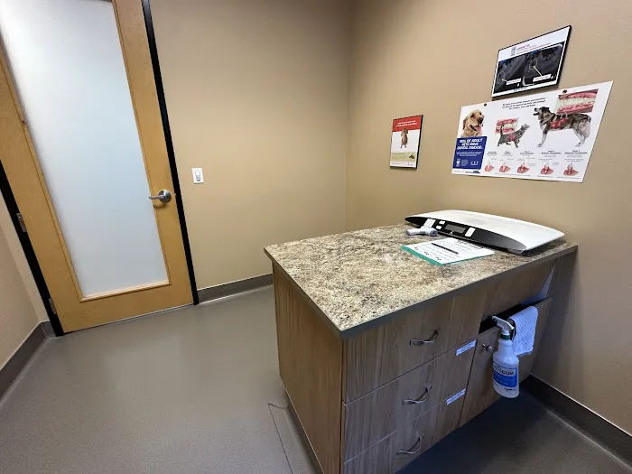 Pet Dental USA Picture 6