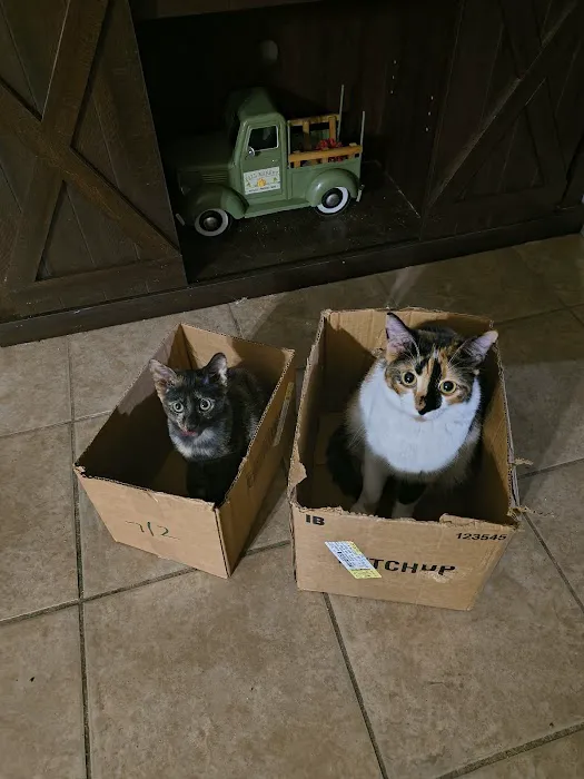 Walmart Pet Services Picture 5