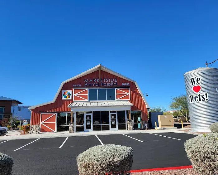 Marketside Animal Hospital at Verrado Picture 3