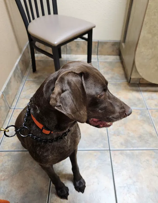 Lovet Pet Health Care - North Buckeye Picture 8