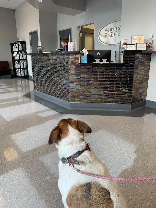 North Star Animal Hospital at Estrella, PLLC Picture 2