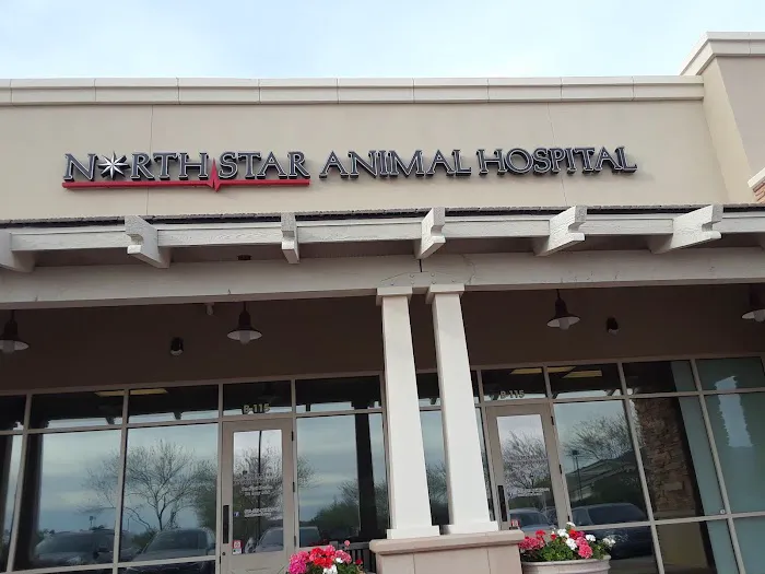 North Star Animal Hospital at Estrella, PLLC Picture 4