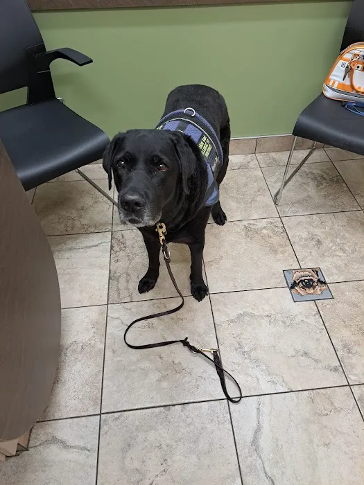 Lovet Pet Health Care - Verrado Picture 1