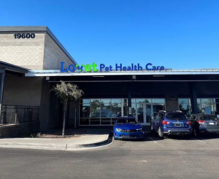 Lovet Pet Health Care - Verrado Picture 6