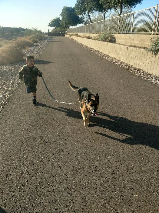 Lovet Pet Health Care - Verrado Picture 9