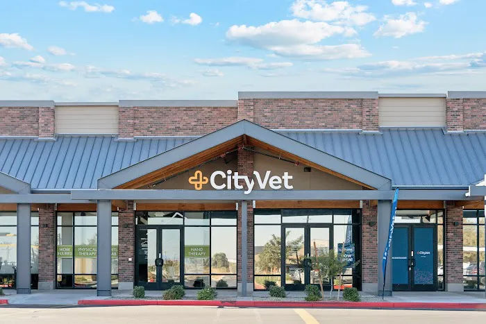 CityVet | Surprise Picture 2