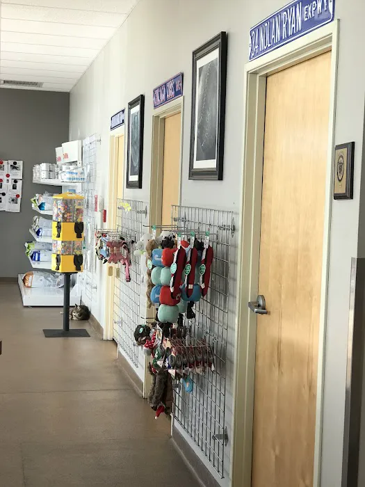 All-Star Animal Hospital Picture 8