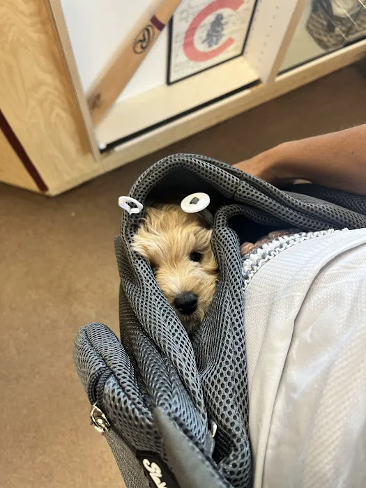 All-Star Animal Hospital Picture 10