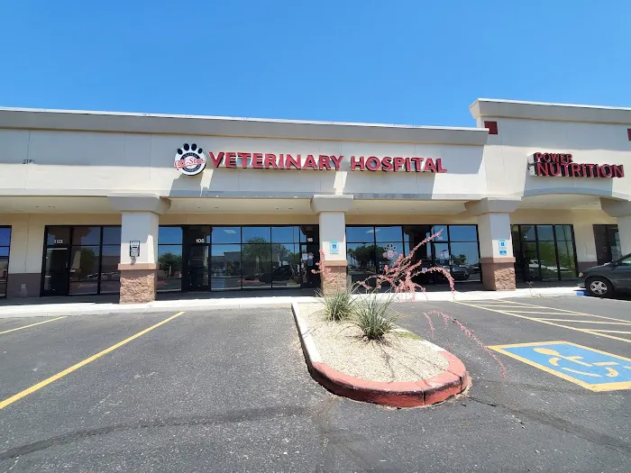 All-Star Animal Hospital Picture 9