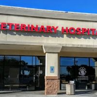 All-Star Animal Hospital: Kara Ericksen DVM, Matt Ericksen DVM ico
