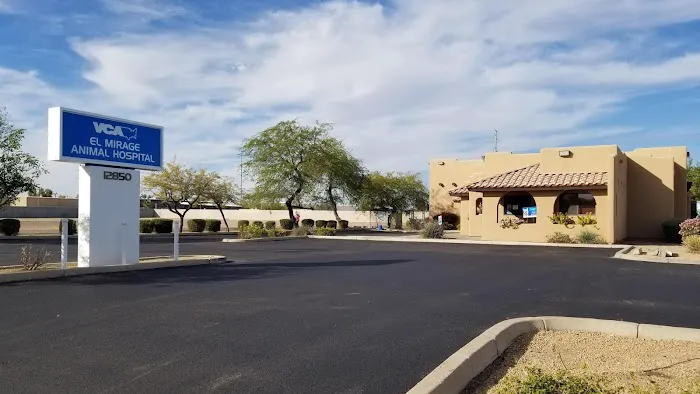 VCA El Mirage Animal Hospital Picture 2
