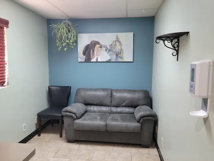 VCA El Mirage Animal Hospital Picture 4