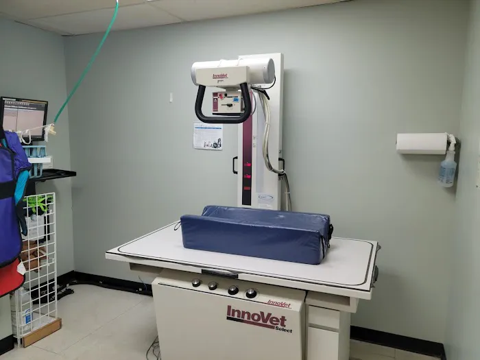 VCA El Mirage Animal Hospital Picture 9