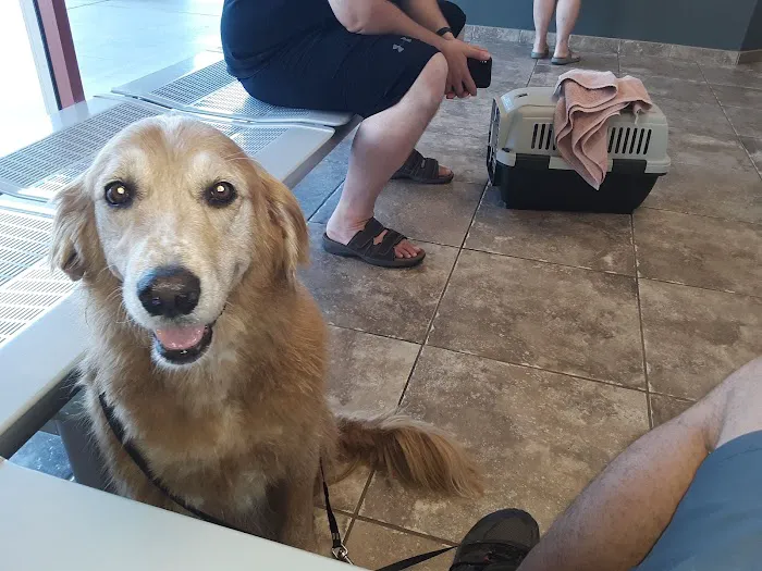 Purrfurred Pets Veterinary Clinic Picture 6