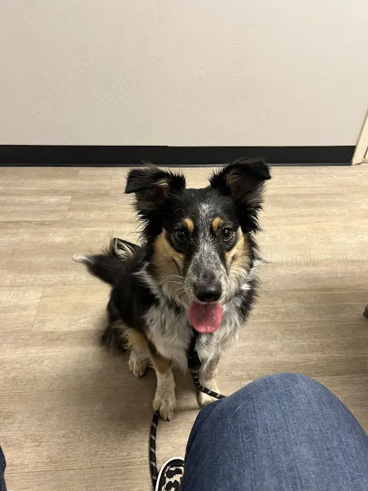 Purrfurred Pets Veterinary Clinic Picture 8