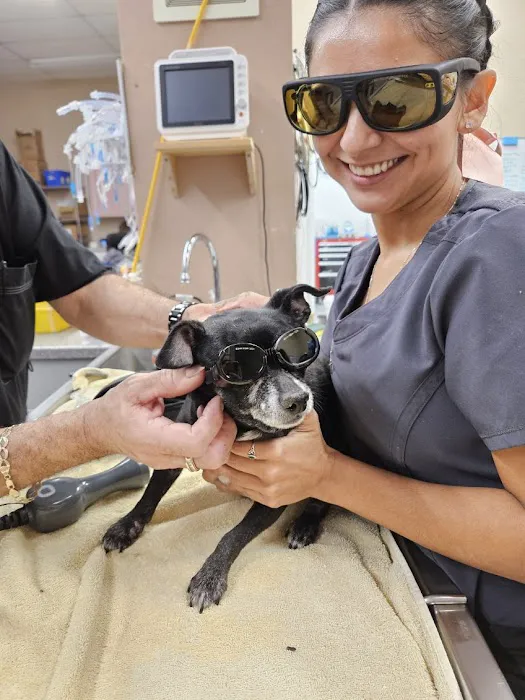 Sun City West Animal Hospital Picture 3