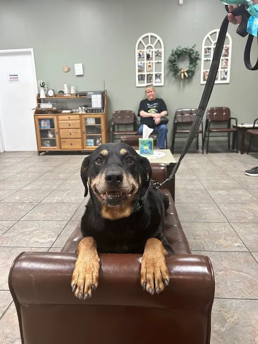 Sun City West Animal Hospital Picture 8