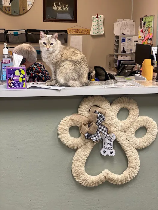 Sun City West Animal Hospital Picture 10
