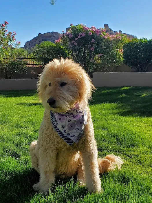 Arizona Animal Hospital Picture 1