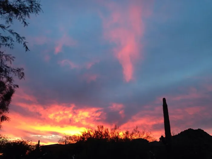 Arizona Animal Hospital Picture 3