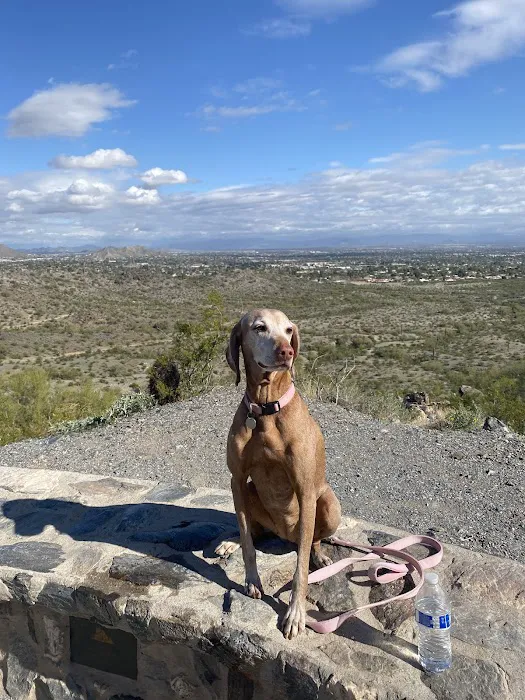 Arizona Animal Hospital Picture 10