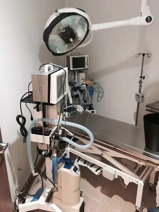 Arizona Animal Hospital Picture 8