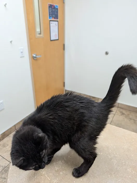 Lovet Pet Health Care - Norterra Picture 2